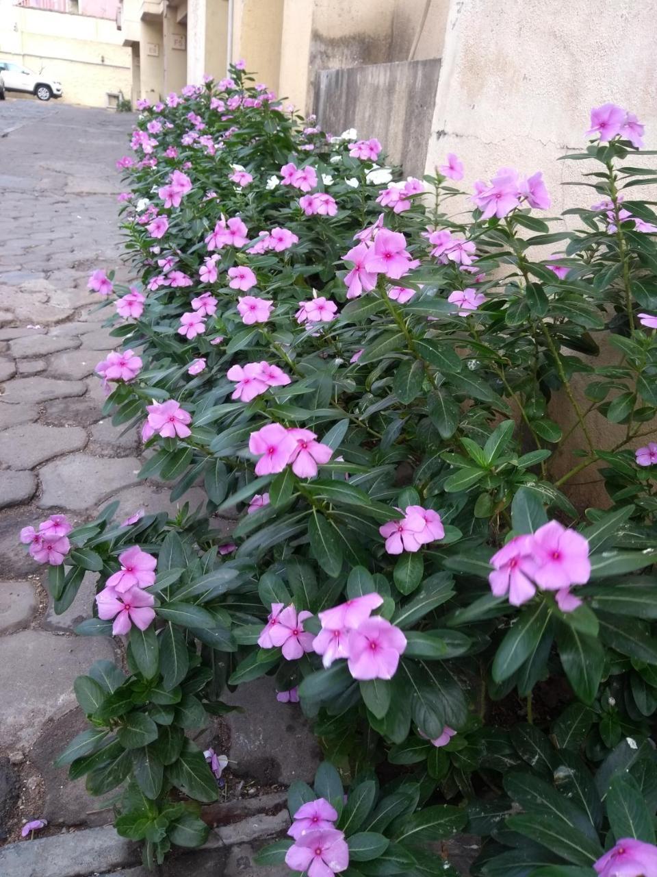 Beach Penthouse, Chennai Bed & Breakfast エクステリア 写真